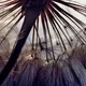 Фотообои листовые Citydecor Цветы и Растения 140 (200x140см) — фото 10