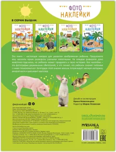 Развивающая книга Мозаика-Синтез Фотонаклейки. В деревне, мягкая обложка / МС14566 — фото 7