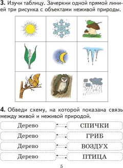 Рабочая тетрадь Аверсэв Человек и мир. 2 класс. Практикум 2025, мягкая обложка (Трафимова Галина) — фото 4