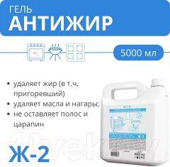 Чистящее средство для духового шкафа Дили Дом Ж-2 (5л) — фото 3