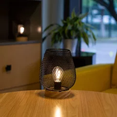 Декоративное освещение AksHome Тип 3 Сетка 14х18см 1LED 2ААА — фото 3