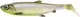 Мягкая приманка Savage Gear 3D Herring Shad 21.5cm 65g Hug o 1Pcs / 1635921 — фото 2