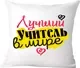 Подушка декоративная Print Style Лучший учитель в мире / 40x40plat74 — фото 6
