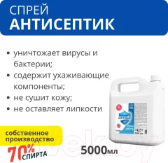 Антисептик Дили Дом Септодил Плюс ССП 5000 (5л) — фото 9