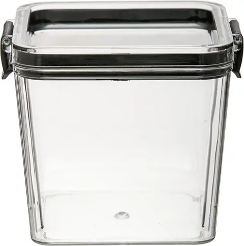 Контейнер Handy Home Два замка 90x90x95 / Muj-11 (700мл, прозрачный)
