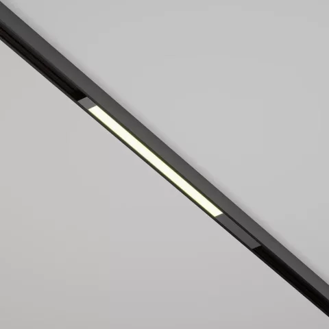 Трековый светильник Maytoni Basis TR231-2-10W4K-B