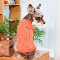 Футболка для животных Puppia Bonnie / PAVA-TS1904-OR (L, оранжевый) — фото 9