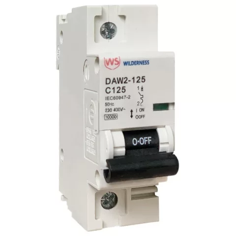 Выключатель автоматический Wilderness DAW2-125 1P 100A х-ка C 10kA (R) / DAW2-125-1-C100