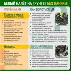 Грунт для растений Фаско Цветочное счастье (5л) — фото 5