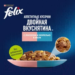 Влажный корм для кошек Felix Аппетитные кусочки. Двойная вкуснятина лосось и форель желе (75г) — фото 5