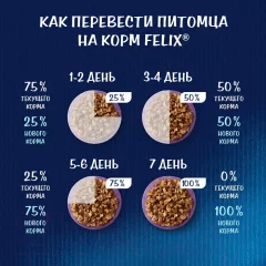 Влажный корм для кошек Felix Аппетитные кусочки. Двойная вкуснятина лосось и форель желе (75г) — фото 9