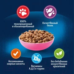 Сухой корм для кошек Felix Двойная вкуснятина для котят с курицей (600г) — фото 4