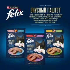 Влажный корм для кошек Felix Вкусный паштет Лосось и форель (75г) — фото 9