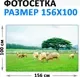 Фотофасад Arthata FotoSetka-100-22 (100x156) — фото 6