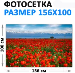 Фотофасад Arthata FotoSetka-100-36 (100x156) — фото 3