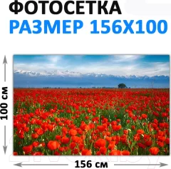 Фотофасад Arthata FotoSetka-100-36 (100x156) — фото 9