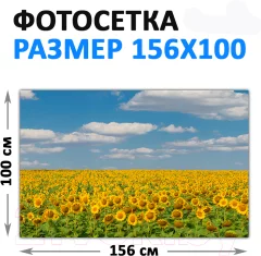 Фотофасад Arthata FotoSetka-100-37 (100x156) — фото 3