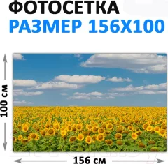 Фотофасад Arthata FotoSetka-100-37 (100x156) — фото 9