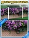 Фотофасад Arthata FotoSetka-100-48 (100x156) — фото 5