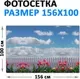 Фотофасад Arthata FotoSetka-100-50 (100x156) — фото 6