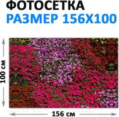 Фотофасад Arthata FotoSetka-100-51 (100x156) — фото 9