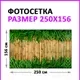 Фотофасад Arthata Доски / FotoSetka-250-1 (250x156) — фото 6