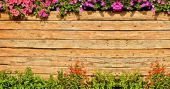 Фотофасад Arthata Дерево / FotoSetka-300-45 (300x156) — фото 7
