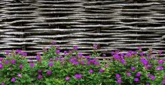 Фотофасад Arthata FotoSetka-300-93 (300x156) — фото 7
