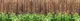 Фотофасад Arthata Деревянный забор / FotoSetka-600-60 (600x156) — фото 4