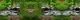 Фотофасад Arthata FotoSetka-600-97 (600x156) — фото 4