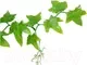 Декорация для террариума Lucky Reptile Ivy Bush / LP-62 — фото 2