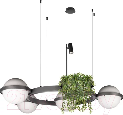 Потолочный светильник Loftit Jardin 10121/4 (Dark Grey)