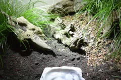 Грунт для террариума Lucky Reptile Jungle Bedding / JB-20 (20л) — фото 9