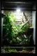 Лампа для террариума Lucky Reptile LED Sun Spot / LSS6 — фото 8
