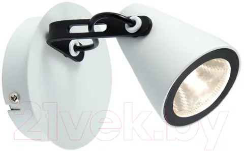 Спот Lussole Loft LSN-4101-01