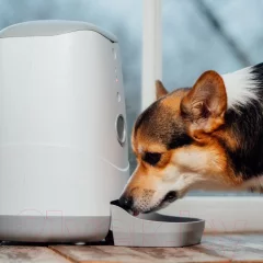 Кормушка автоматическая для животных Petoneer Nutri Feeder / FDW010 — фото 9