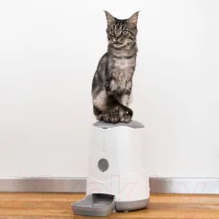 Кормушка автоматическая для животных Petoneer Nutri Feeder / FDW010 — фото 10