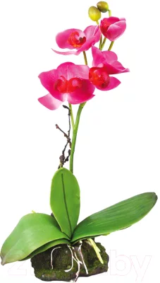 Декорация для террариума Lucky Reptile Orchid Pink / IF-11 (розовый) — фото 3