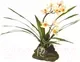 Декорация для террариума Lucky Reptile Orchid white / IF-09 (белый) — фото 2
