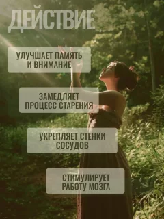 Комплексная пищевая добавка Progarmony Гинкго билоба с витамином С (60 капсул) — фото 3