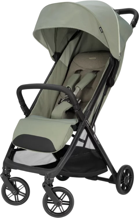 Детская прогулочная коляска Inglesina Quid 3 / AG87S0PTGRU (Planet Green)