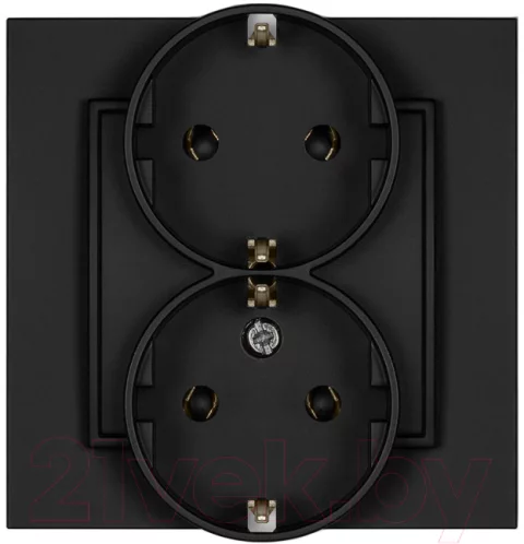Розетка Karlik Schuko 12MGP-2s 2X2P (черный матовый)
