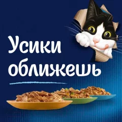Влажный корм для кошек Felix Sensations Sauce Surprise с треской и томатом в соусе (75г) — фото 6