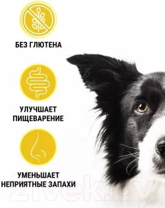 Сухой корм для собак Trainer Small and Toy для мелких пород со свежей курицей, рисом, юккой (2кг) — фото 5