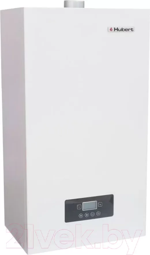Газовый котел Hubert Smart AGB 10 DY