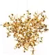 Потолочный светильник Loftit Spark 10101/3 Gold — фото 5