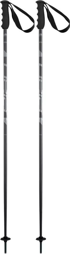 Горнолыжные палки Elan Speedrod 2025-2026 / CD532023-115 (р.115, черный)
