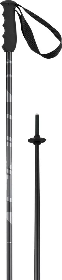 Горнолыжные палки Elan Speedrod 2025-2026 / CD532023-120 (р.120, черный) — фото 2