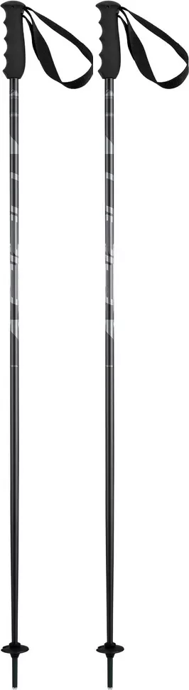 Горнолыжные палки Elan Speedrod 2025-2026 / CD532023-125 (р.125, черный)