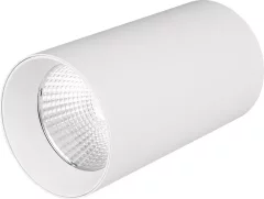Точечный светильник Arlight SP-POLO-R85-1-15W Day White 40 deg / 022937 — фото 1